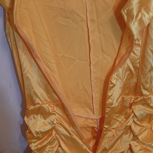 Princess Belle Beauty and the Beast Costume Dress - Picture 5 of 9